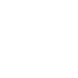 Chiens non admis