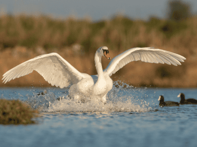 Parc Natrurel régional Parc Natrurel régional